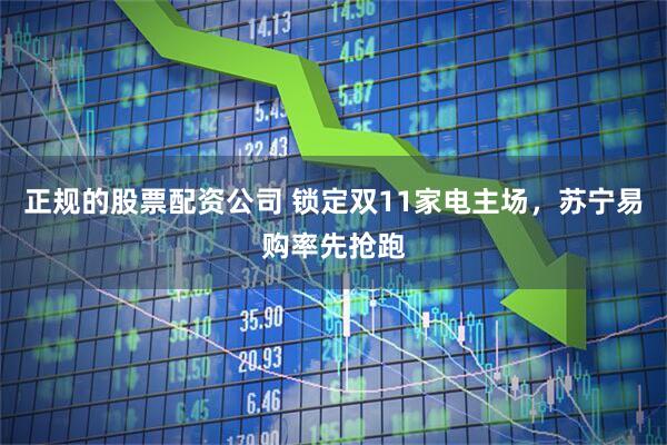 正规的股票配资公司 锁定双11家电主场,苏宁易购率先抢跑