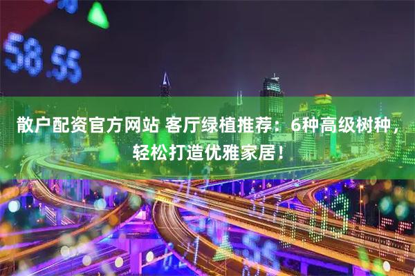 散户配资官方网站 客厅绿植推荐：6种高级树种，轻松打造优雅家居！