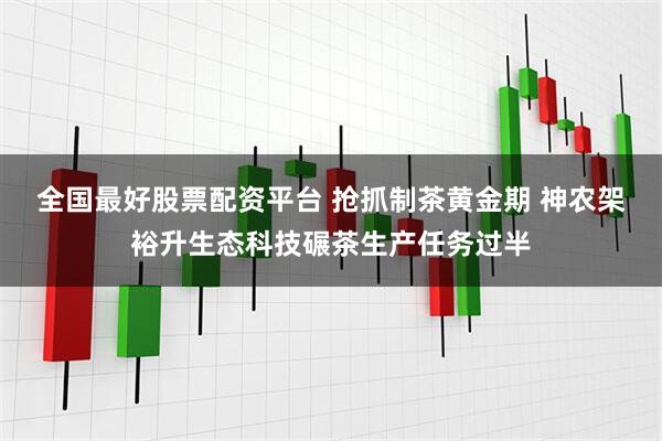 全国最好股票配资平台 抢抓制茶黄金期 神农架裕升生态科技碾茶生产任务过半