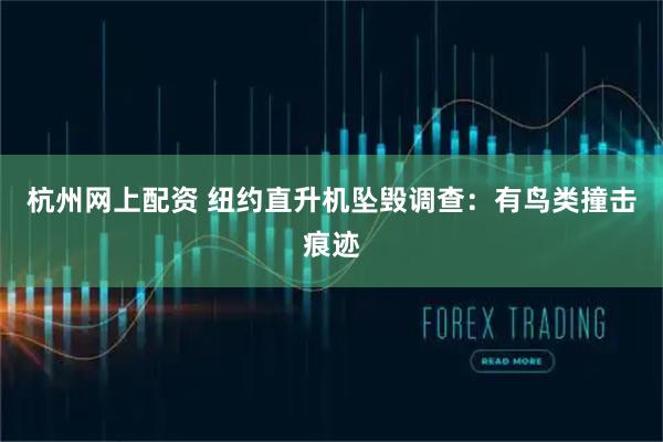 杭州网上配资 纽约直升机坠毁调查：有鸟类撞击痕迹